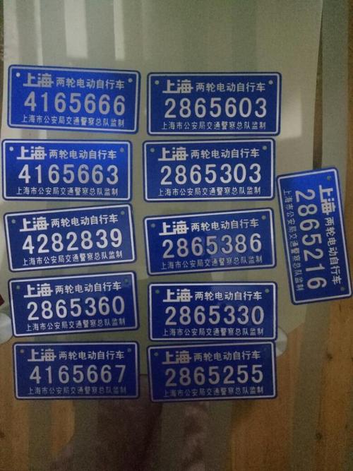 上海电动车上牌-上海电动车上牌照需要什么资料